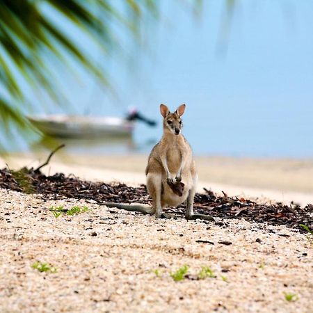 Отель Crab Claw Island Bynoe Harbour Экстерьер фото