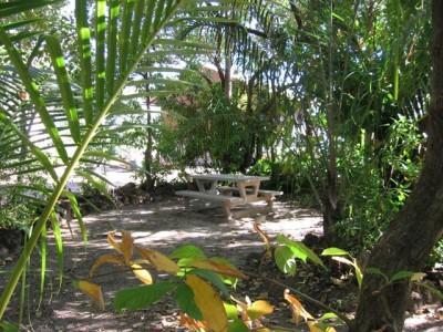 Отель Crab Claw Island Bynoe Harbour Экстерьер фото